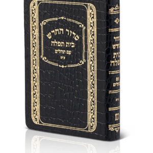 סידור בית תפילה עור משוחזר – כיס — עותק לבדיקה