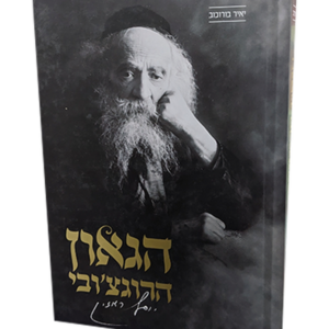 הגאון הרגוצ'ובי — עותק לבדיקה