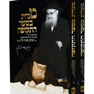 מנהיג בסער התקופה — עותק לבדיקה