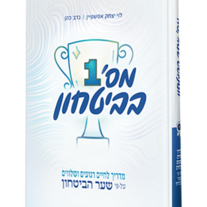 מספר אחד בביטחון — עותק לבדיקה