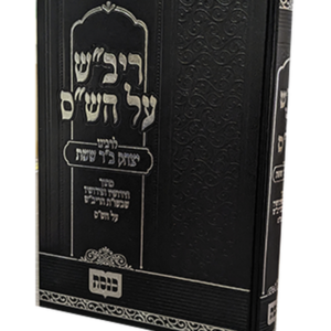חידושי הריב"ש על הש"ס — עותק לבדיקה