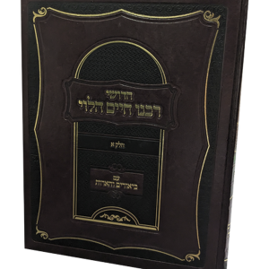 חידושי רבינו חיים הלוי על הרמב"ם עם ביאורים והארות — עותק לבדיקה