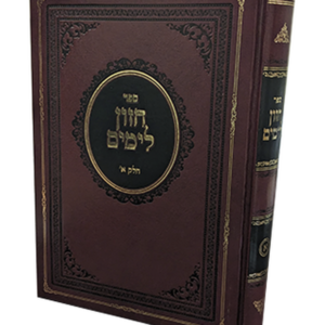 חזון לימים — עותק לבדיקה