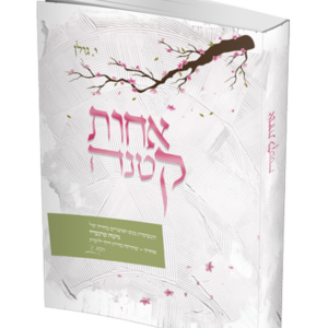 אחות קטנה – סיפור חייה של גיטה — עותק לבדיקה