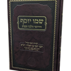 שמו יוסף — עותק לבדיקה
