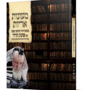 מעונות אריות — עותק לבדיקה