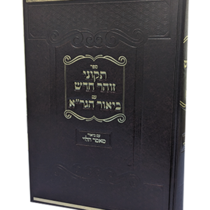 ביאור הגר"א על תיקוני זוהר חדש — עותק לבדיקה