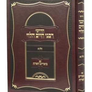 חידושי רבינו חיים הלוי על הרמב"ם עם ביאורים והארות — עותק לבדיקה