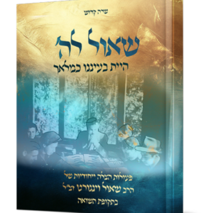 שאול לה' — עותק לבדיקה