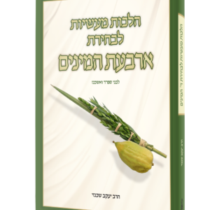 הלכות מעשיות לבחירת ארבעת המינים