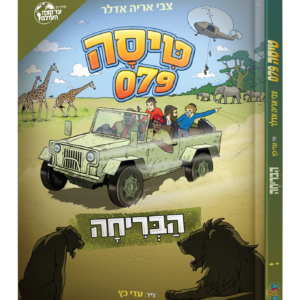 טיסה 079 — עותק לבדיקה