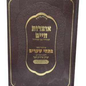 אוצרות חיים עם ביאור פתחי שערים — עותק לבדיקה