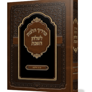 מדריך הלכות לשולחן השבת — עותק לבדיקה