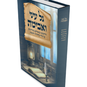גל עיני ואביטה — עותק לבדיקה