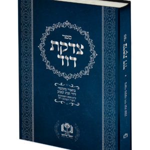 צדקת דוד — עותק לבדיקה