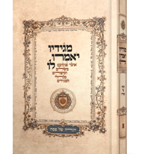 מגידיו יאמרו לו – הגדה של פסח — עותק לבדיקה
