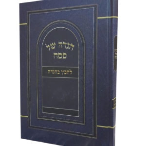 הגדה להבין בהגדה — עותק לבדיקה