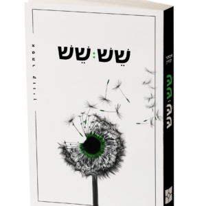 שש שש — עותק לבדיקה