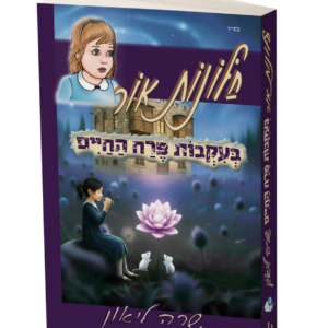 חלונות אור 11 בעקבות פרח החיים — עותק לבדיקה