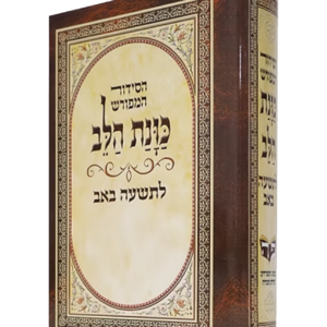 סידור כוונת הלב לתשעה באב — עותק לבדיקה