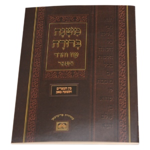 חוברת משנ"ב בין המצרים ותשעה באב — עותק לבדיקה