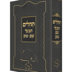 תהילים הבעל שם טוב — עותק לבדיקה