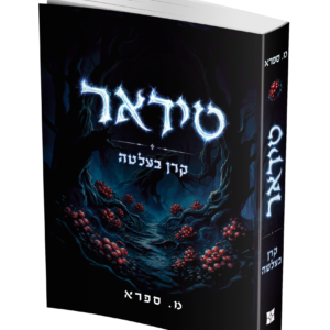 טידאר — עותק לבדיקה