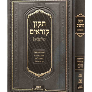 תיקון קוראים סימנים — עותק לבדיקה