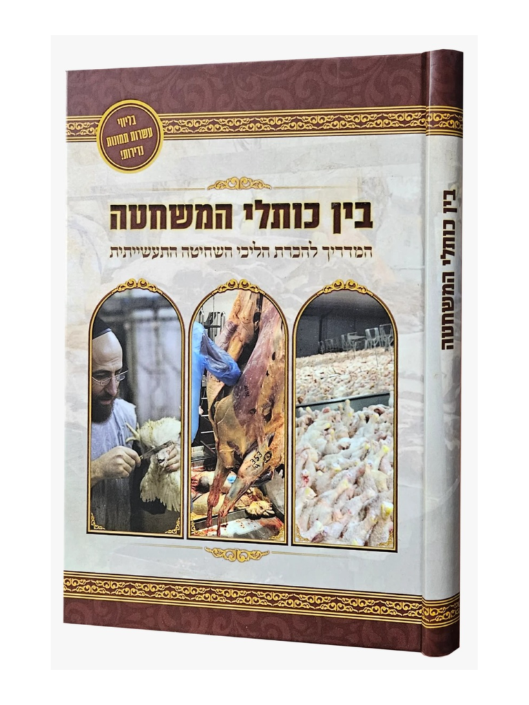 בין כותלי המשחטה המדריך להכרת הליכי השחיטה התעשייתית