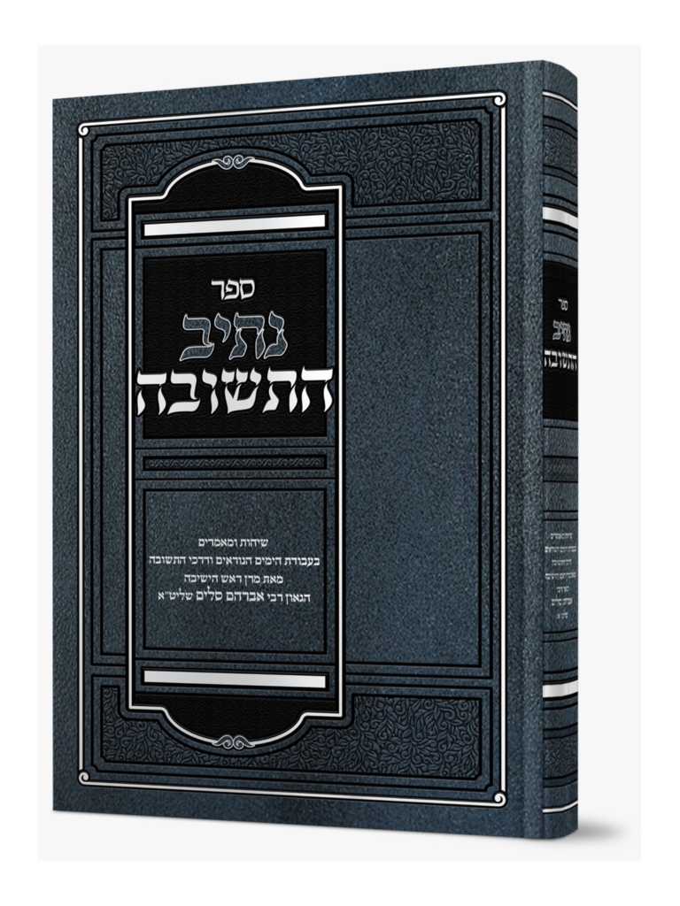 נתיב התשובה