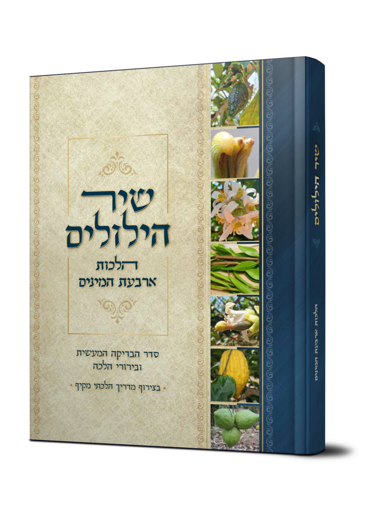 שיר הילולים - הלכות ארבעת המינים