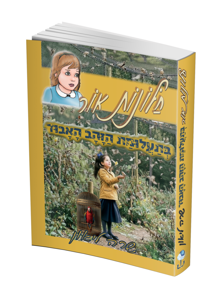 חלונות אור 12 בתעלומת הזהב האבוד