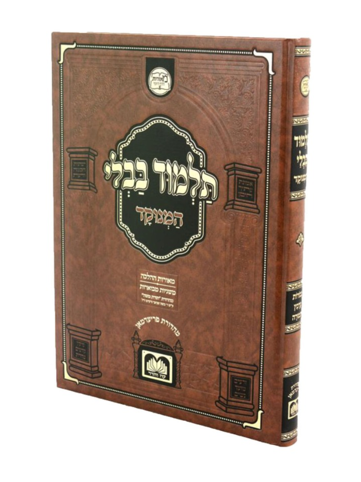 גמ בכורות ערכין תמורה מנוקד מאורות הדף היומי