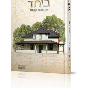 ביחד — עותק לבדיקה