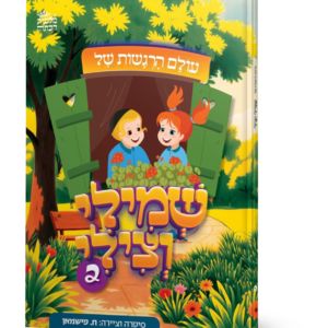 שמילי וצילי — עותק לבדיקה