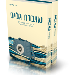 שוברת גלים