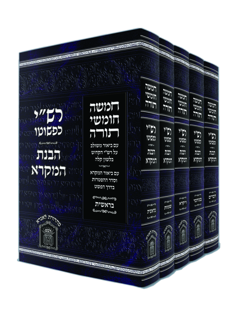 רש"י כפשוטו הבנת המקרא סט גדול