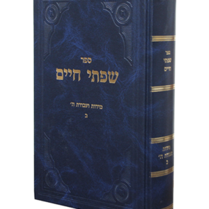 שפתי חיים מידות — עותק לבדיקה
