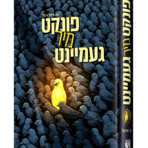 פונקט מיר געמיינט — עותק לבדיקה